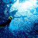A school of blue fish in the game Abzu.